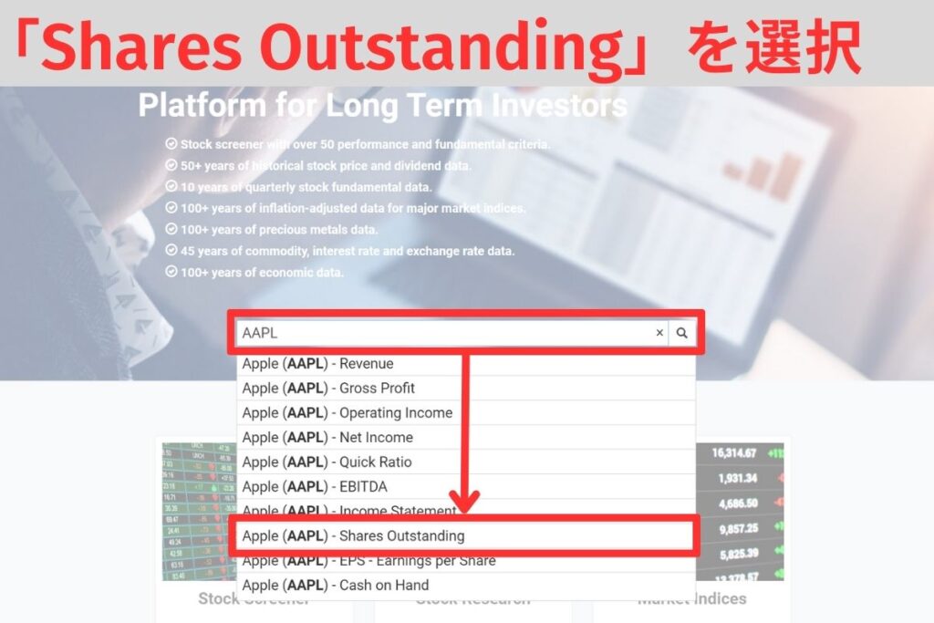 「Shares Outstanding」を選択